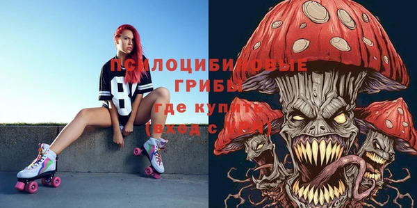 круглые Аркадак