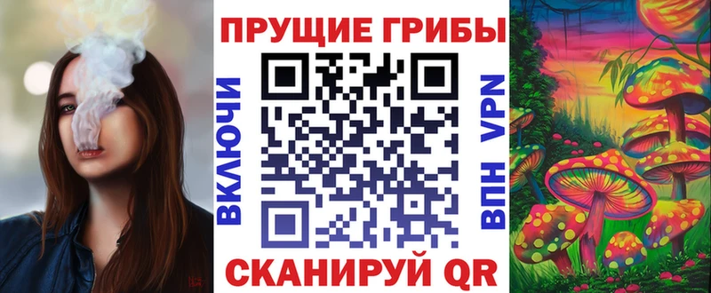 Галлюциногенные грибы Psilocybine cubensis  Асино 