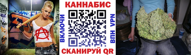 Бошки марихуана план  где продают наркотики  Асино 
